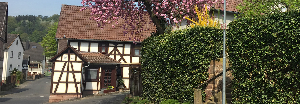 Frühling in Betziesdorf